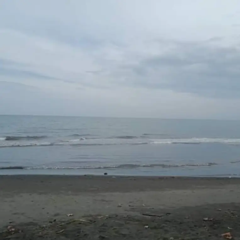 Black sand beach in Lovina under a soft grey sky, photographed by Balinese Lovina Property